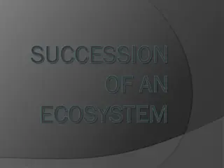 Ecosystem Succession