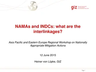 Interlinkages Between NAMAs and INDCs in Climate Mitigation