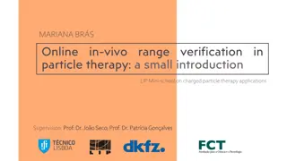 Range Verification in Particle Therapy: Precision and Treatment Planning