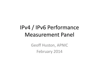 IPv4/IPv6 Performance Measurement Panel