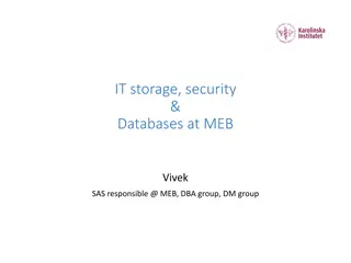 IT storage, security & Databases at MEB