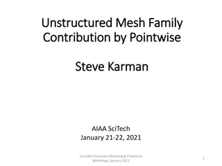 Unstructured Mesh Family Contribution by Pointwise in AIAA SciTech Workshop