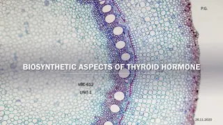 Thyroid Hormone Biosynthesis and Metabolic Pathways