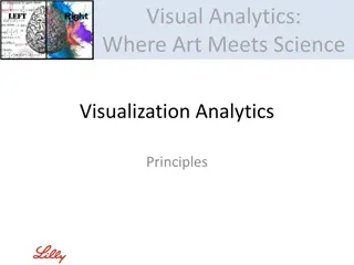 Visual Analytics: