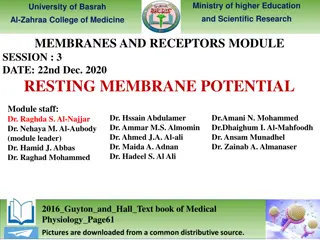 RESTING MEMBRANE POTENTIAL