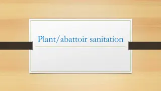 Plant/abattoir sanitation