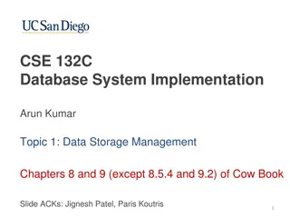 Data Storage Management in Database Systems