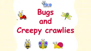 Discover the World of Bugs and Creepy Crawlies