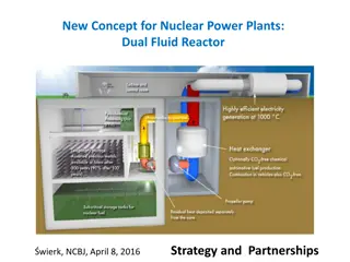 Innovative Dual Fluid Reactor Strategy and Partnerships in Nuclear Power Plants