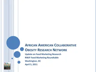 African American Obesity Research Network: Food Marketing Equity