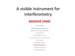 Visible Instrument for Interferometry in Massive Stars Study