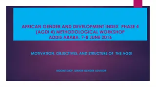 African Gender Development Index: Objectives and Framework