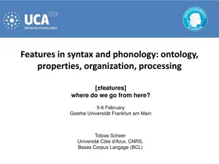 Parametric Information in Syntax and Phonology: Features, Organization, Processing