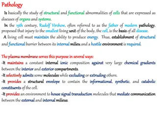 Study of Structural Diseases in Pathology: Rudolf Virchow's Cellular Concept