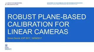 Robust Plane-Based Calibration for Linear Cameras