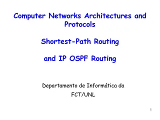 IP OSPF Routing and Network Architectures