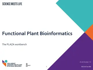 Functional Plant Bioinformatics