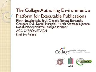 Platform for Executable Publications in Modern Computational Science