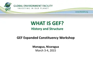 History and Structure of GEF: Mission and Funding Overview