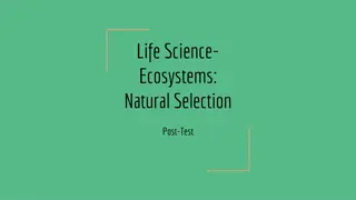 Ecosystems: Natural Selection in Action