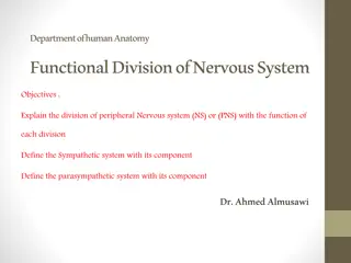 Functional Division of Nervous System