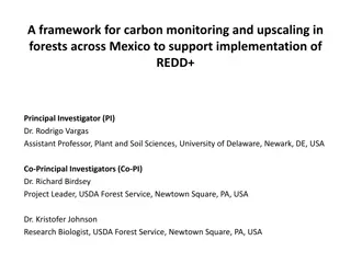 Framework for Carbon Monitoring and Upscaling in Mexican Forests