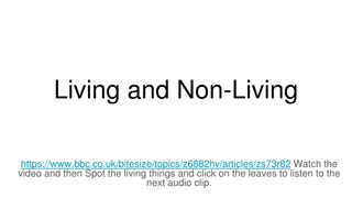 Spot Living and Non-Living Things