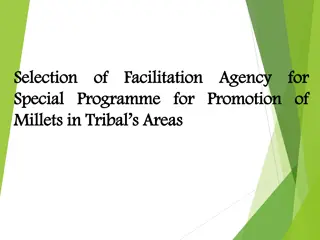 Promotion Agency for Tribal Areas Facilitation Programme