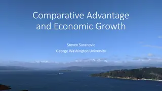 Comparative Advantage and Production Optimization