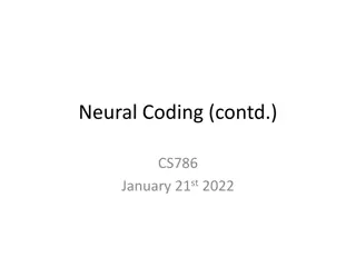 Neural Coding (contd.)