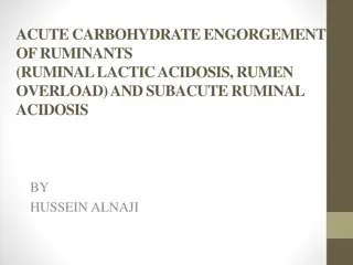 Acute Carbohydrate Engorgement in Ruminants