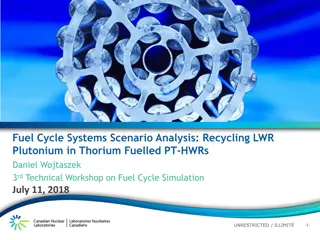 Fuel Cycle Systems Scenario Analysis: Recycling LWR Plutonium in Thorium Fuelled PT-HWRs