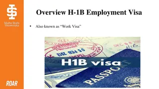 Overview of H-1B Employment Visa