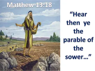 Parable of the Sower - The Seed of the Kingdom