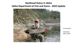 Steelhead Status in Idaho