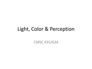 Light, Color & Perception