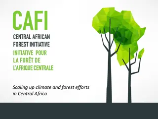 Scaling Up Climate and Forest Efforts in Central Africa