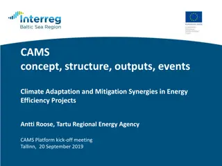 Climate Mitigation-Adaptation Synergies in Energy Projects