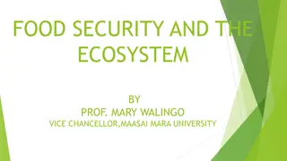 Food Security and Ecosystem Impacts in Maasai Mara