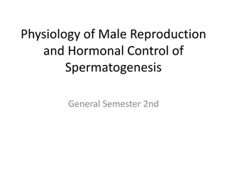 Physiology of Male Reproduction and Hormonal Control of Spermatogenesis