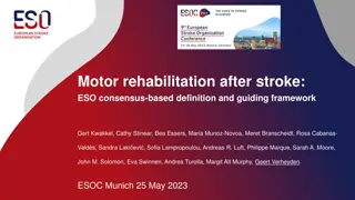 Consensus-Based Definition of Motor Rehabilitation after Stroke