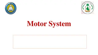 Motor System