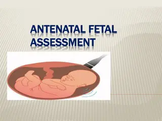 ANTENATAL FETAL ASSESSMENT