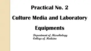 Microbiology Practical: Culturing Microorganisms for Identification