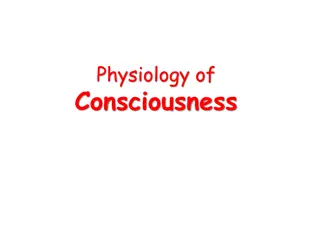 Consciousness