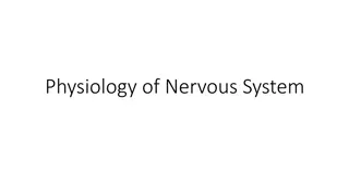 Physiology and History of Nervous System