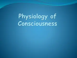 Levels of Consciousness and Brain Structures