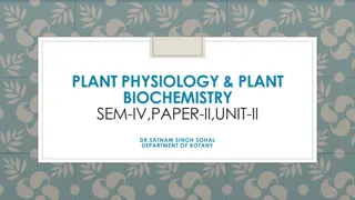 Plant Physiology & Biochemistry: Respiration and Photorespiration