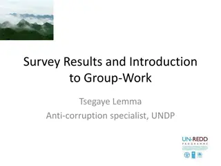 Survey Results and Introduction to Group Work by Tsegaye Lemma UNDP