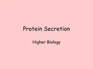 Protein Secretion